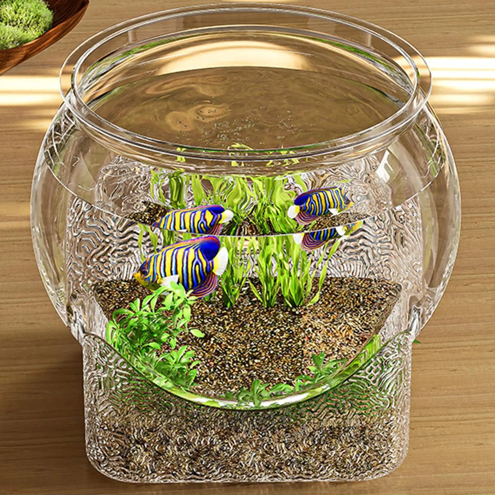 Clear Round Aquarium/Terrarium Container