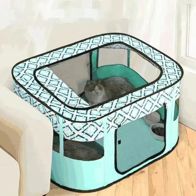 Cat Delivery Room - House