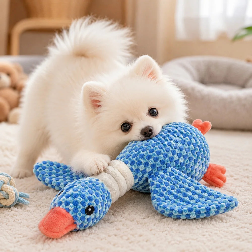 Pet Plush Toy with Squeaker