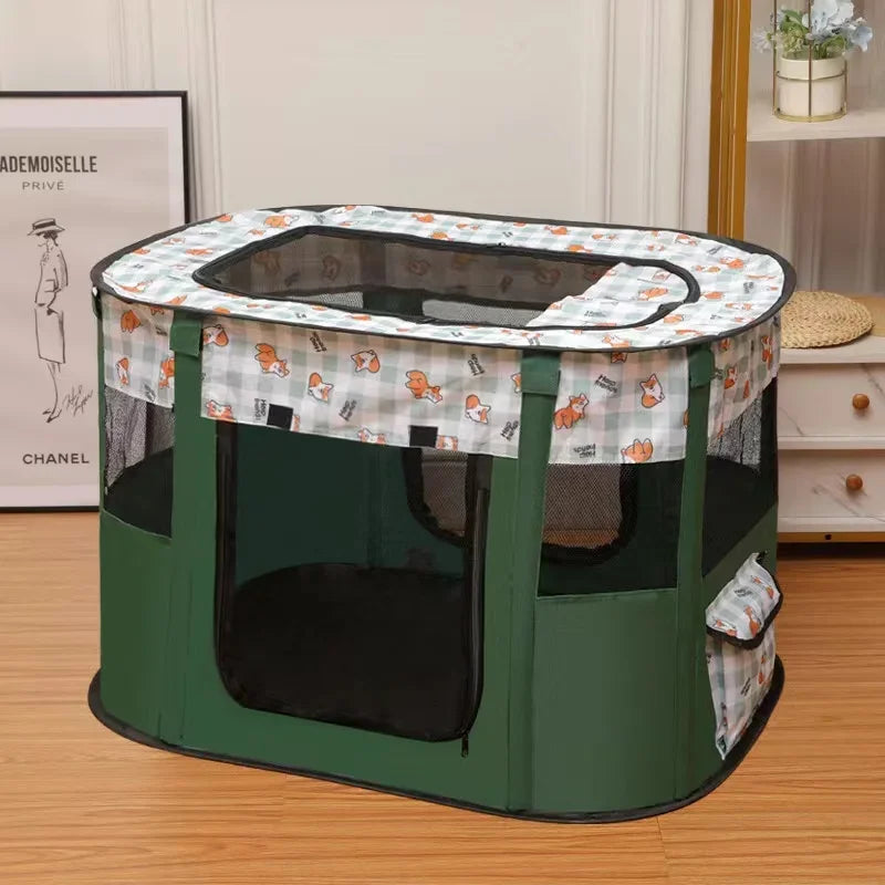 Cat Delivery Room - House