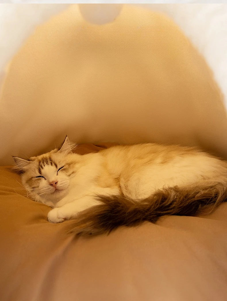 Self Warming Cat Bed