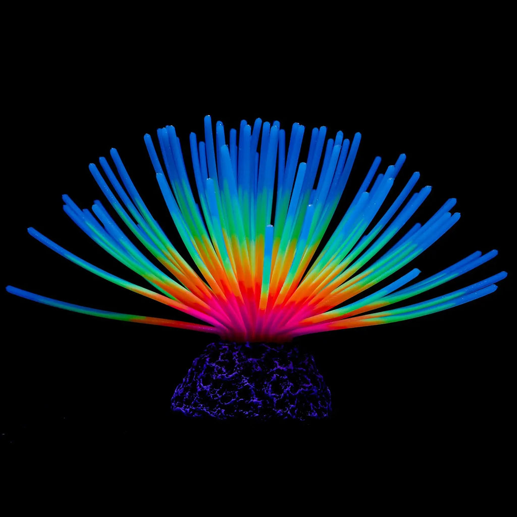 Aquarium Imitative Rainbow Sea Urchin Ball