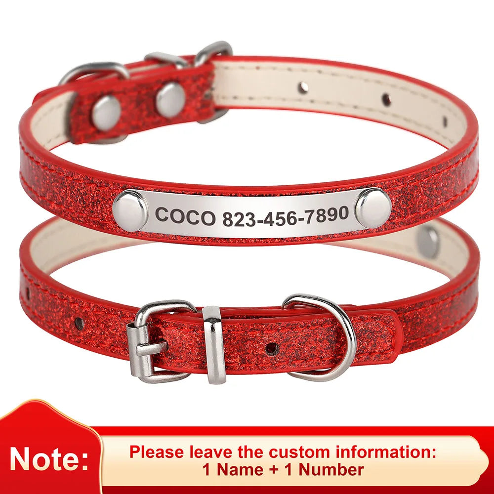 Custom Pet Collar With Engraved ID Nameplate