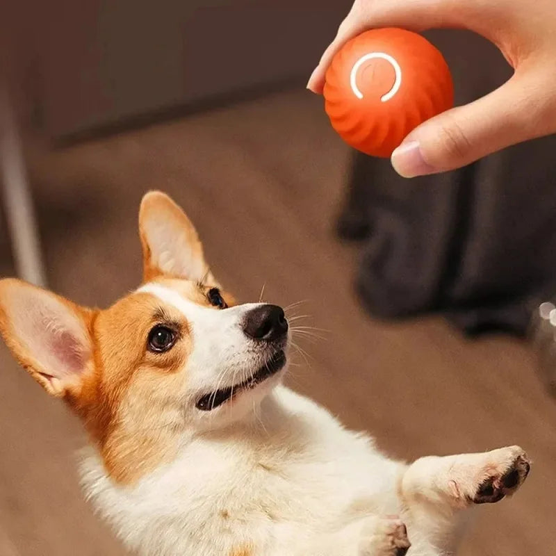 Automatic Moving Bouncing Rolling Ball Dog Toy