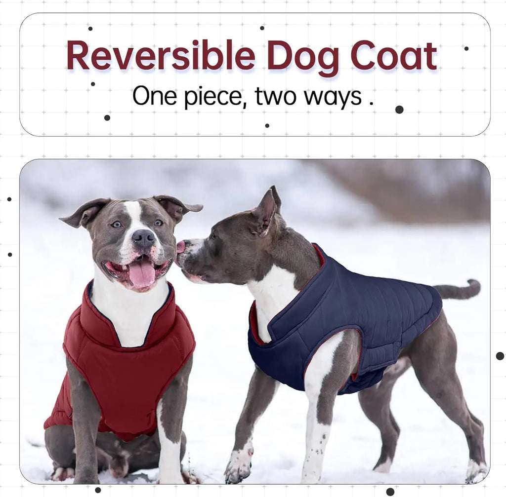 Outdoor Cold Proof  Dog Jacket with Fleece Cotton Lining