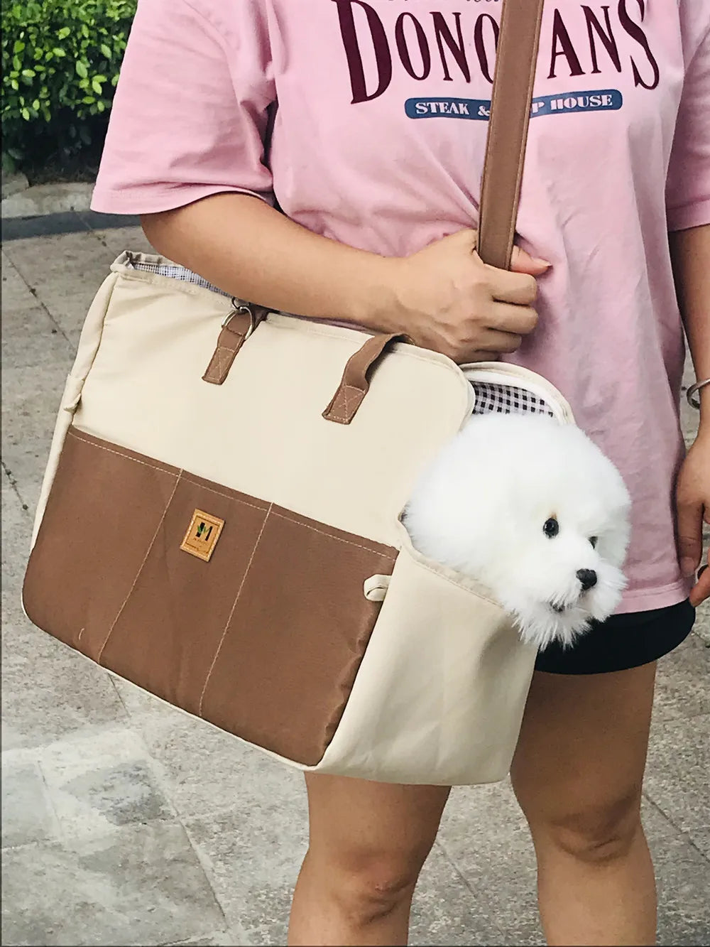 Portable Dog Cat Carrier and Outdoor Travel Bag