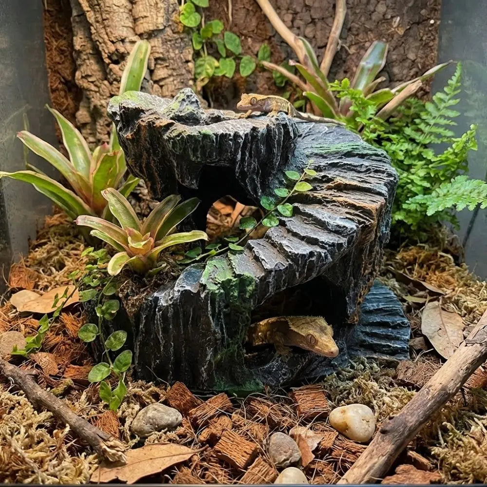 Sturdy Non-Toxic Resin Turtle Basking Platform
