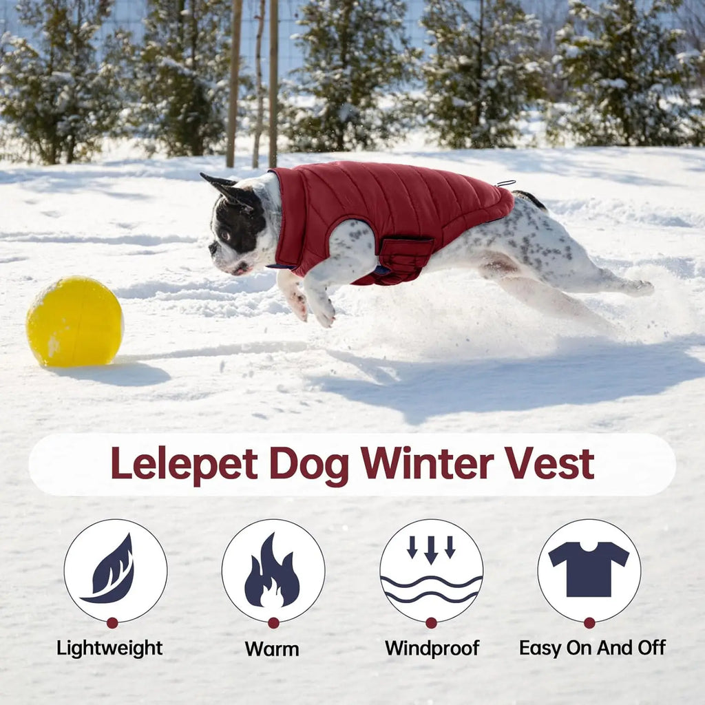Outdoor Cold Proof  Dog Jacket with Fleece Cotton Lining