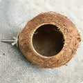 Natural Coco Hideaway Coconut Shell Bird Nest Cage Hanging Toy