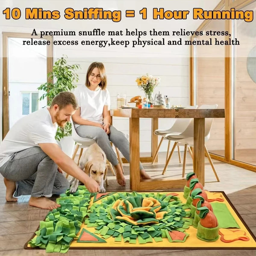 Pet Sniffing Foraging Mat