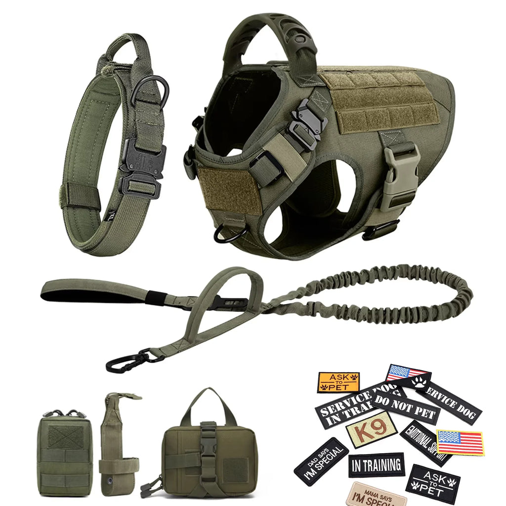 Large M Tactical Military-Like Dog Harness, Collar, Leash, Bags, Patches Set