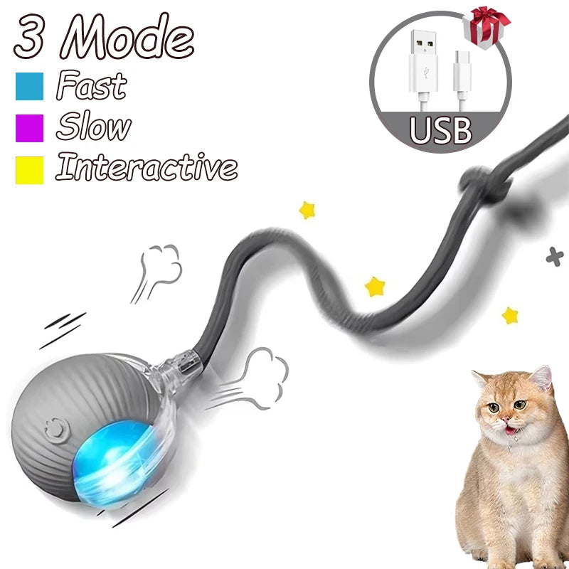 2Pcs Cat Interactive Automatic Rolling Ball w/ Tail, Rechargeable
