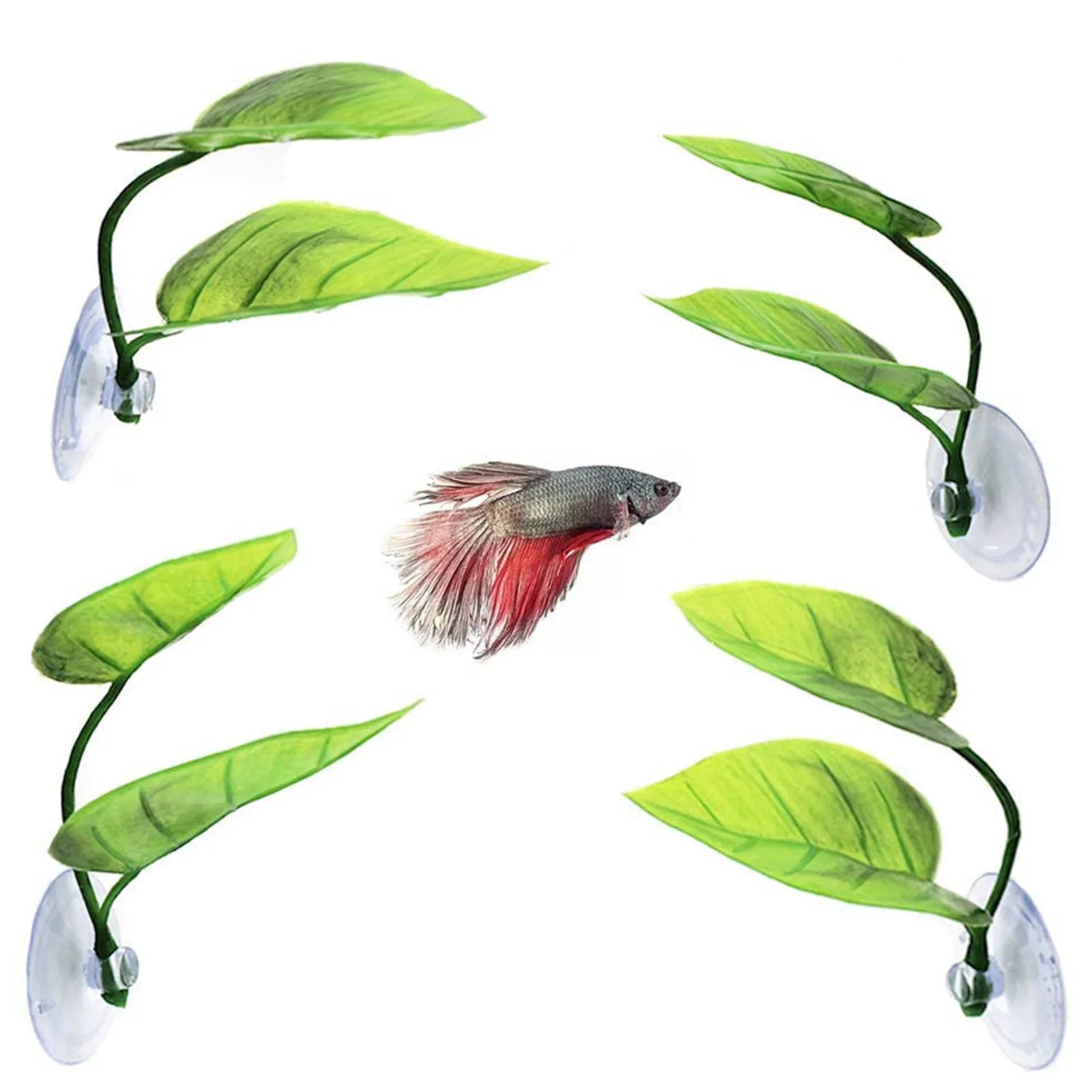 Betta Fish Leaf Pad