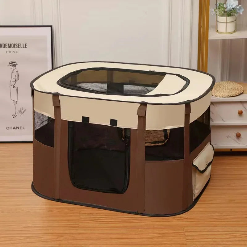 Cat Delivery Room - House