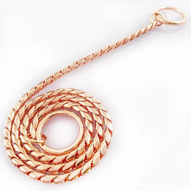 Heacvy Duty Stainless Steel Slip Chain Collar for Dog Training