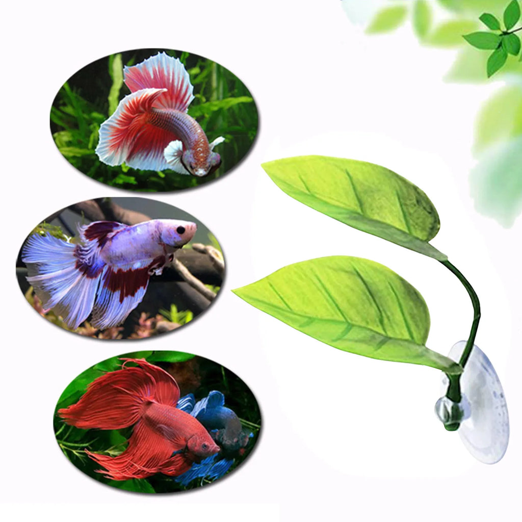 Betta Fish Leaf Pad