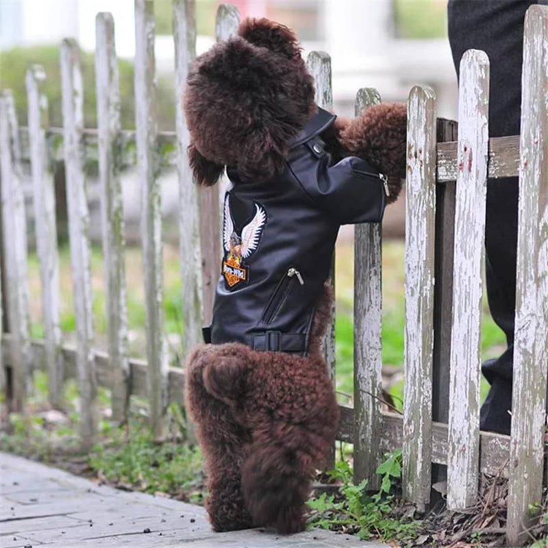 Eagle Pattern PU Leather Dog Jacket