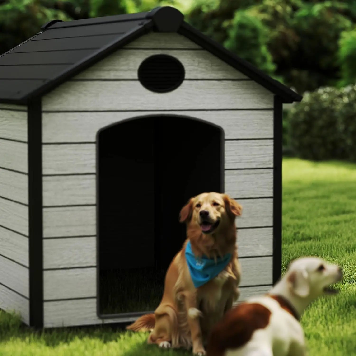 46" Large  Outdoor Weatherproof Dog House for 2 Large Dogs,  with Elevated Floor