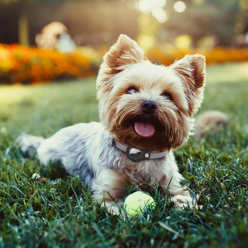 Leather Pet Collars For Apple Airtag Location Tracker