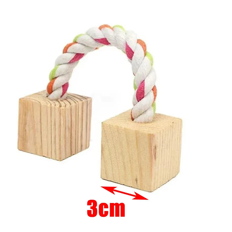 Small Animal Play Toys