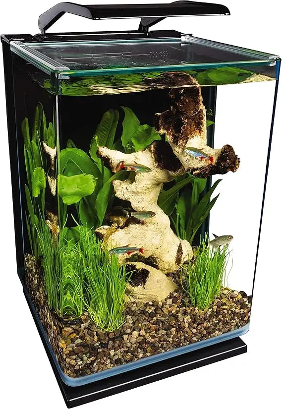 5 gallon black led-illuminated glass aquarium with stealth filtration system