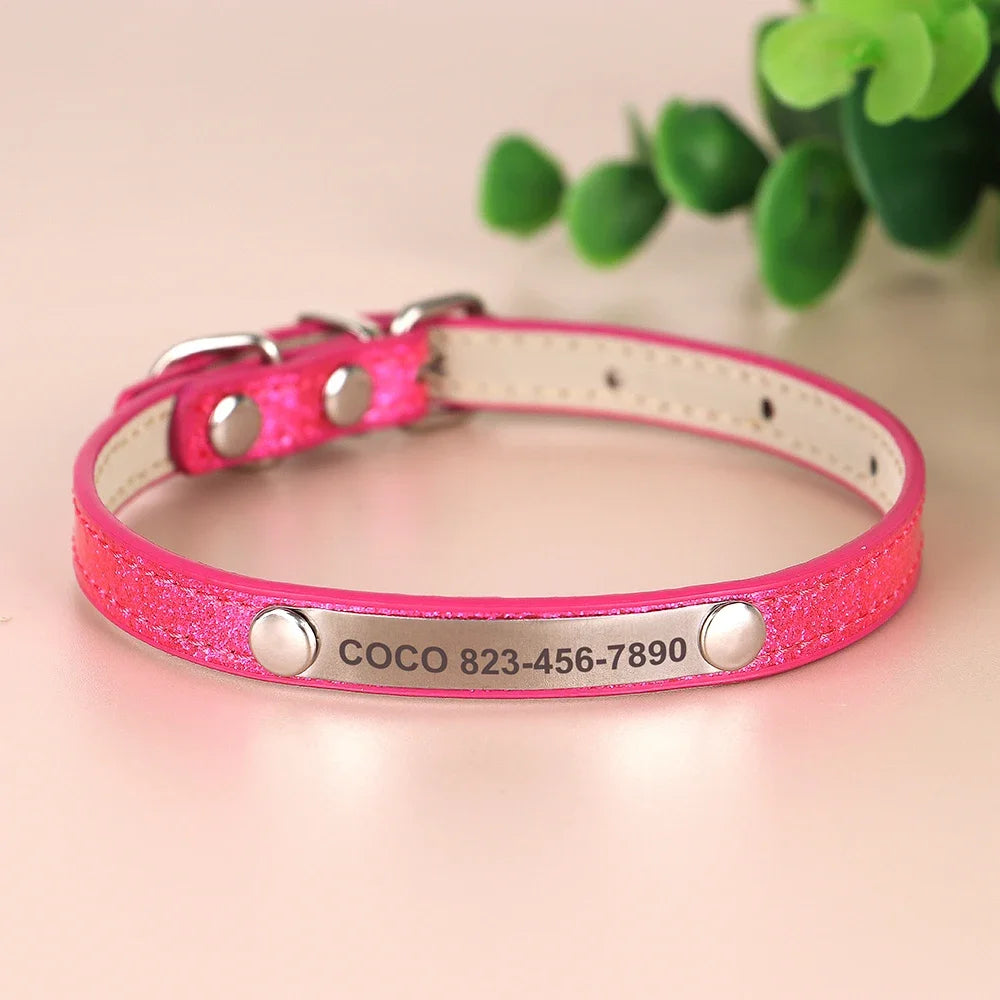 Custom Pet Collar With Engraved ID Nameplate