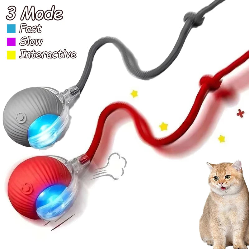 2Pcs Cat Interactive Automatic Rolling Ball w/ Tail, Rechargeable