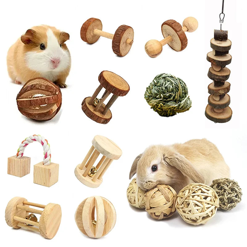 Small Animal Play Toys