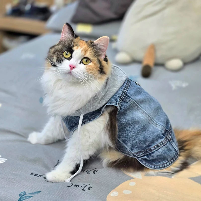 Cool Dog Jean Jacket Vest with D-Ring Hoodie