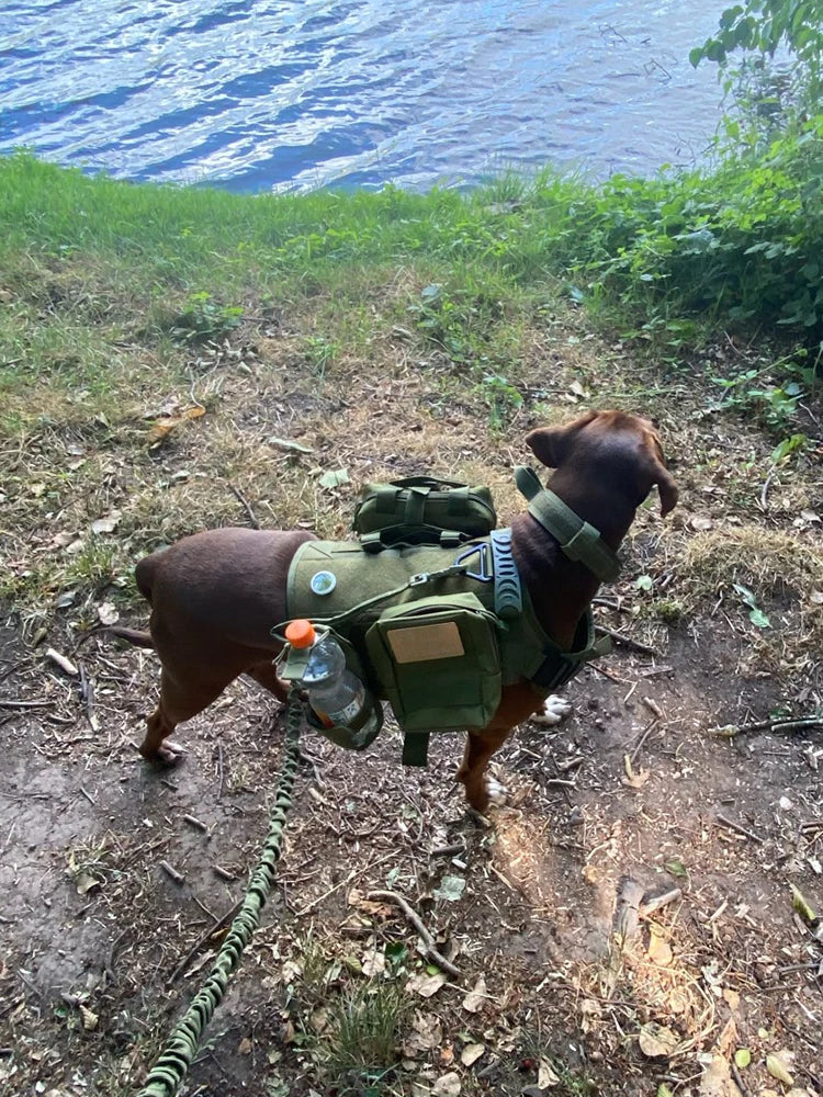 Tactical Dog Harness, Collar, Leash, Molle Pouches