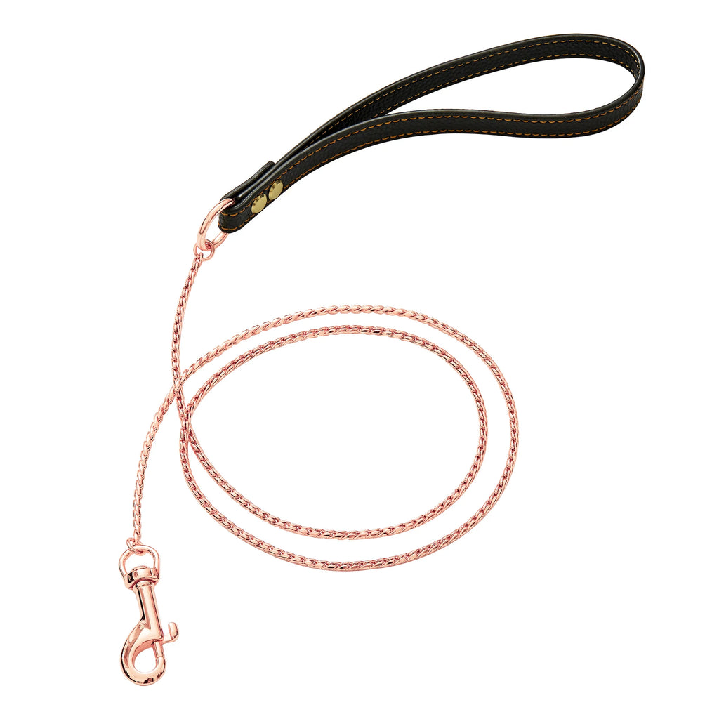Heacvy Duty Stainless Steel Slip Chain Collar for Dog Training